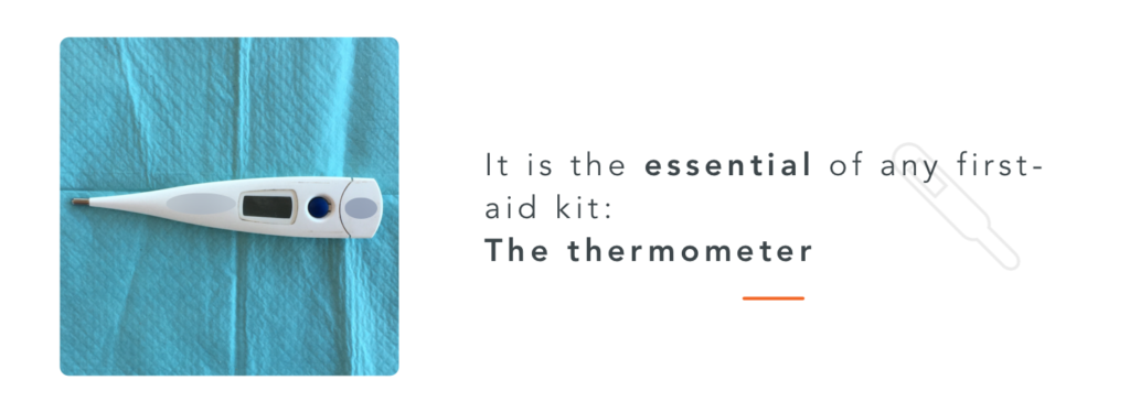 A thermometer, necessary for a horse first aid kit