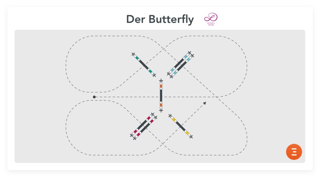 Die Butterfly Methode von Luciana Diniz