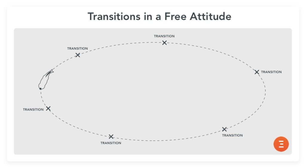 Transitions in a free attitude, a good exercise for older horses