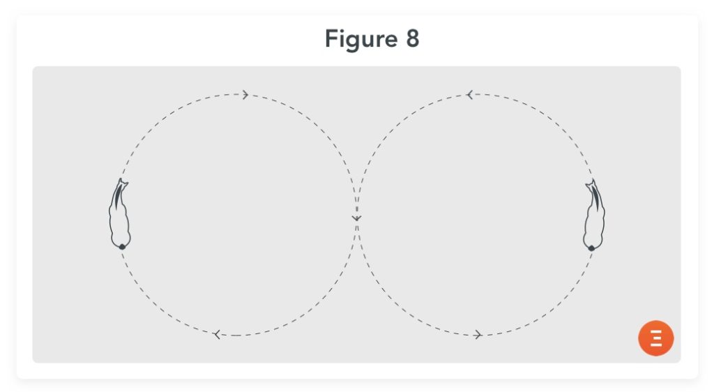 figure 8, a good exercise for older horses