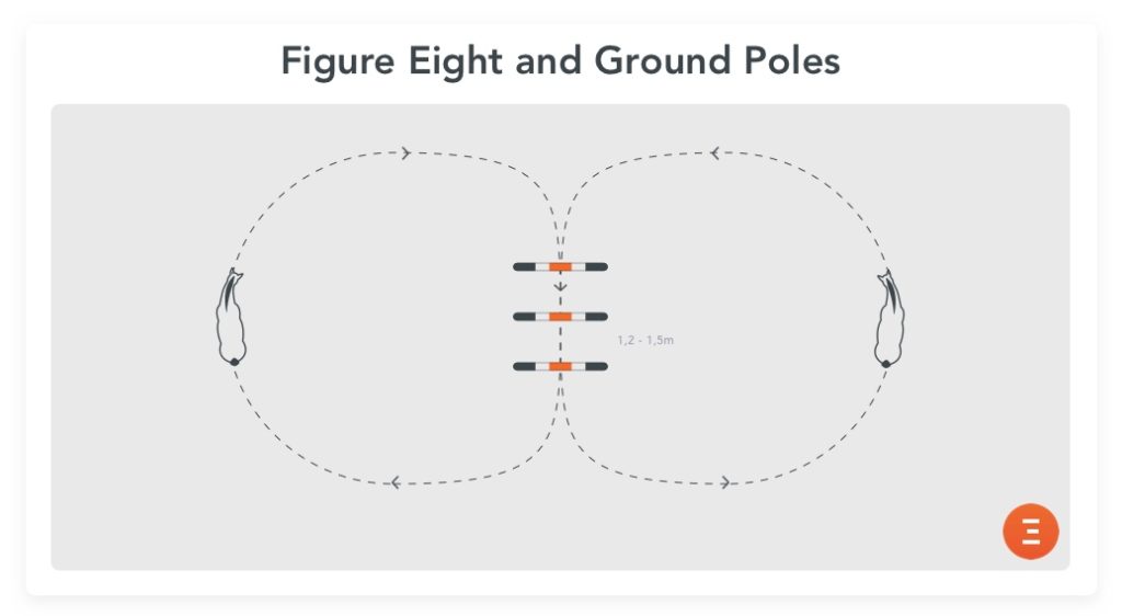 Figure 8 and ground poles, an fun exercise for young horses