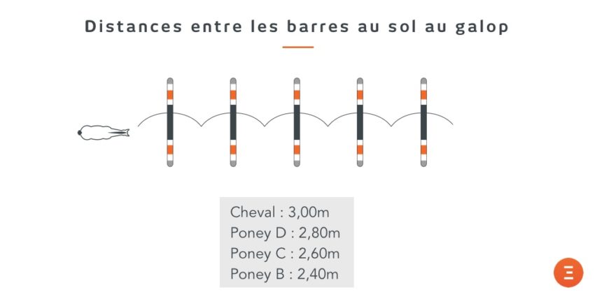 Quelles distances mettre entre les barres au sol ou entre les obstacles