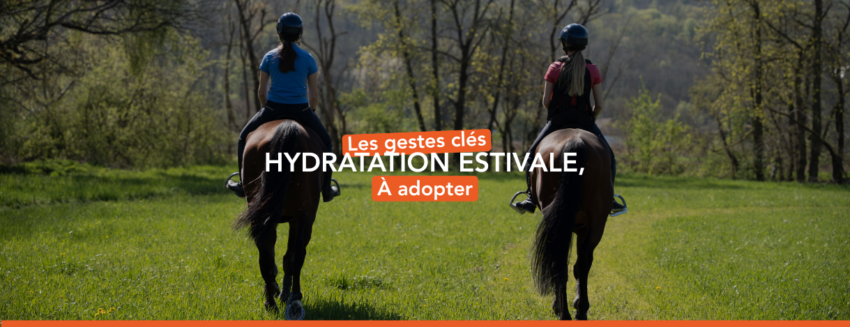 hydratation estival