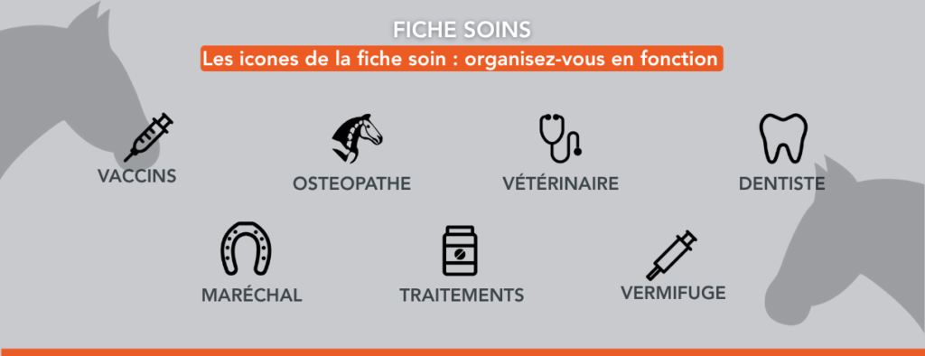 icone de la fiche soin